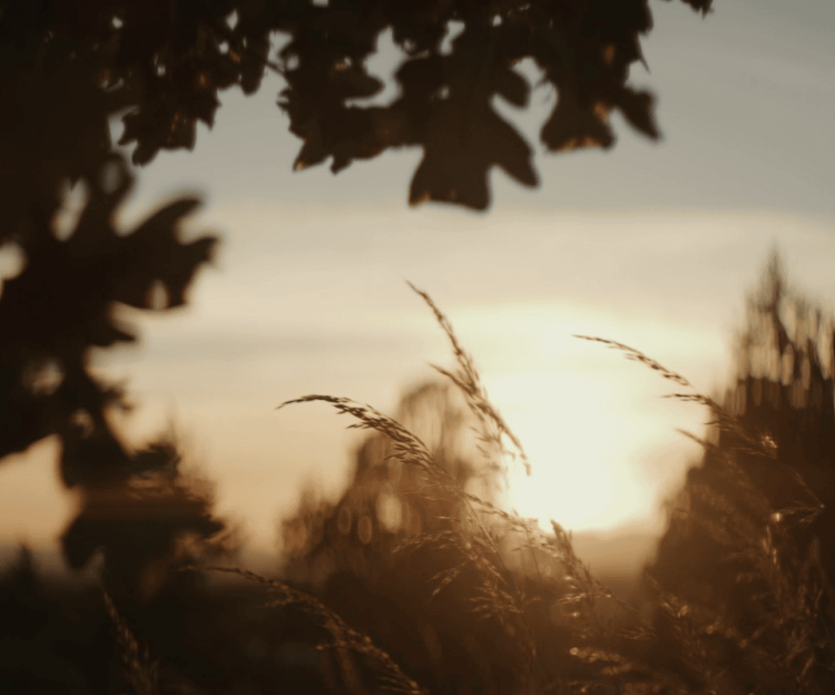  Architects-of-Ardian-header